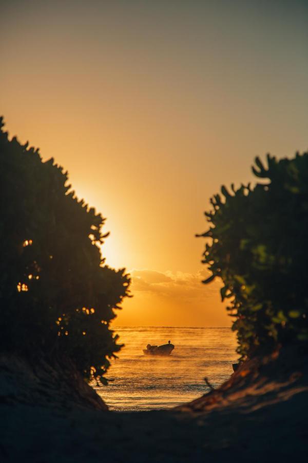 Campo de lujo Glamp Ikal Tulum