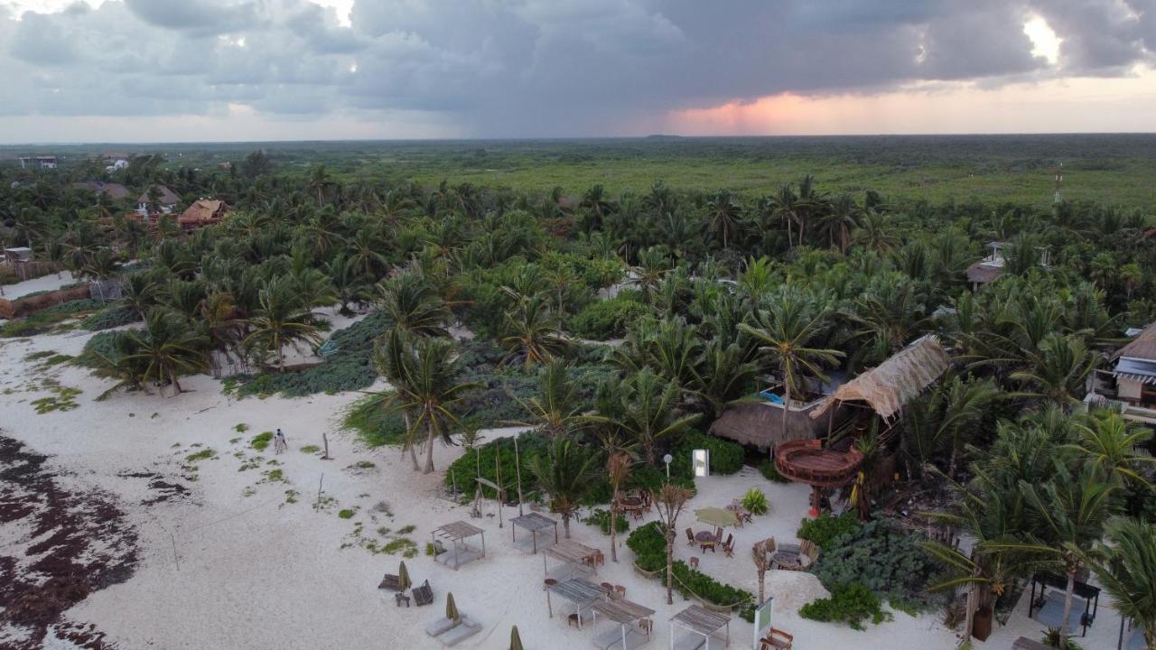 Orchid House (adults Only) Hotel 4*