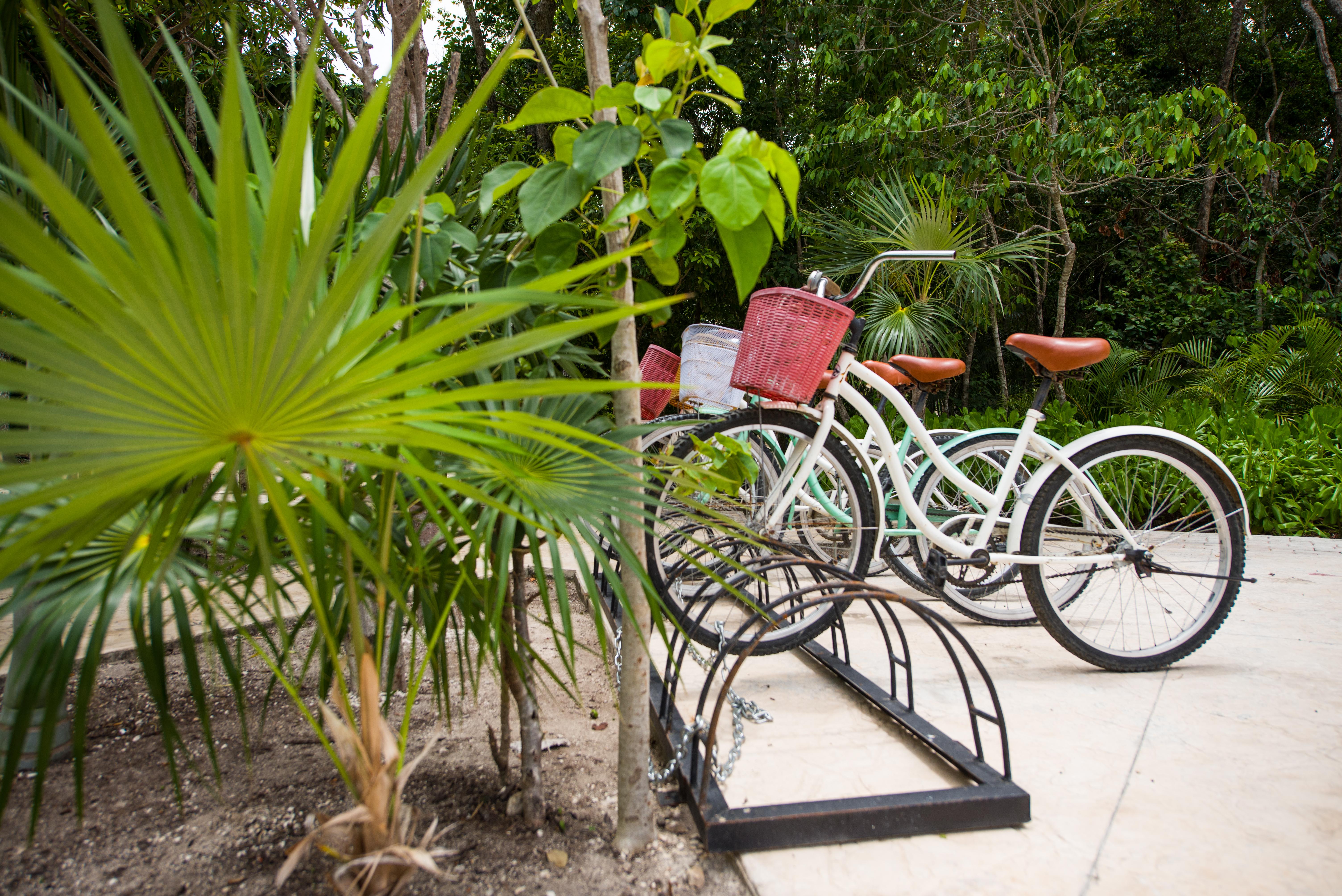 Hotel Naay Curamoria Collection