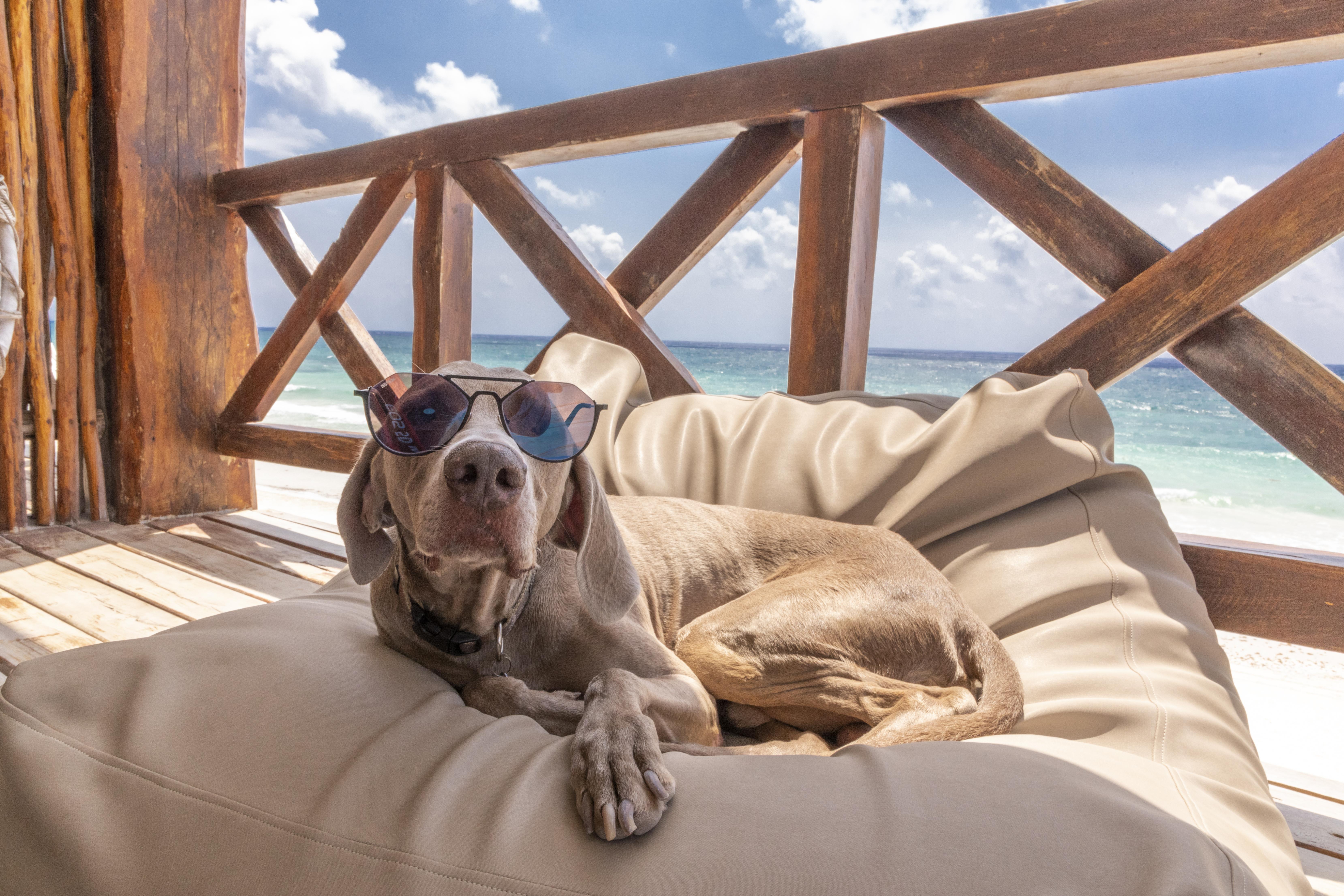 Hotelito Azul 5*
