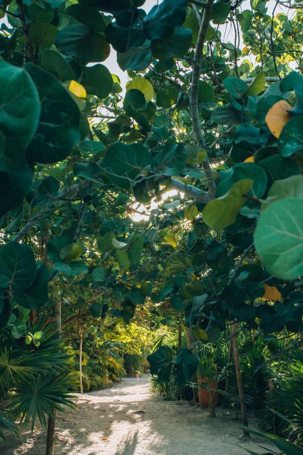 Ikal Tulum
