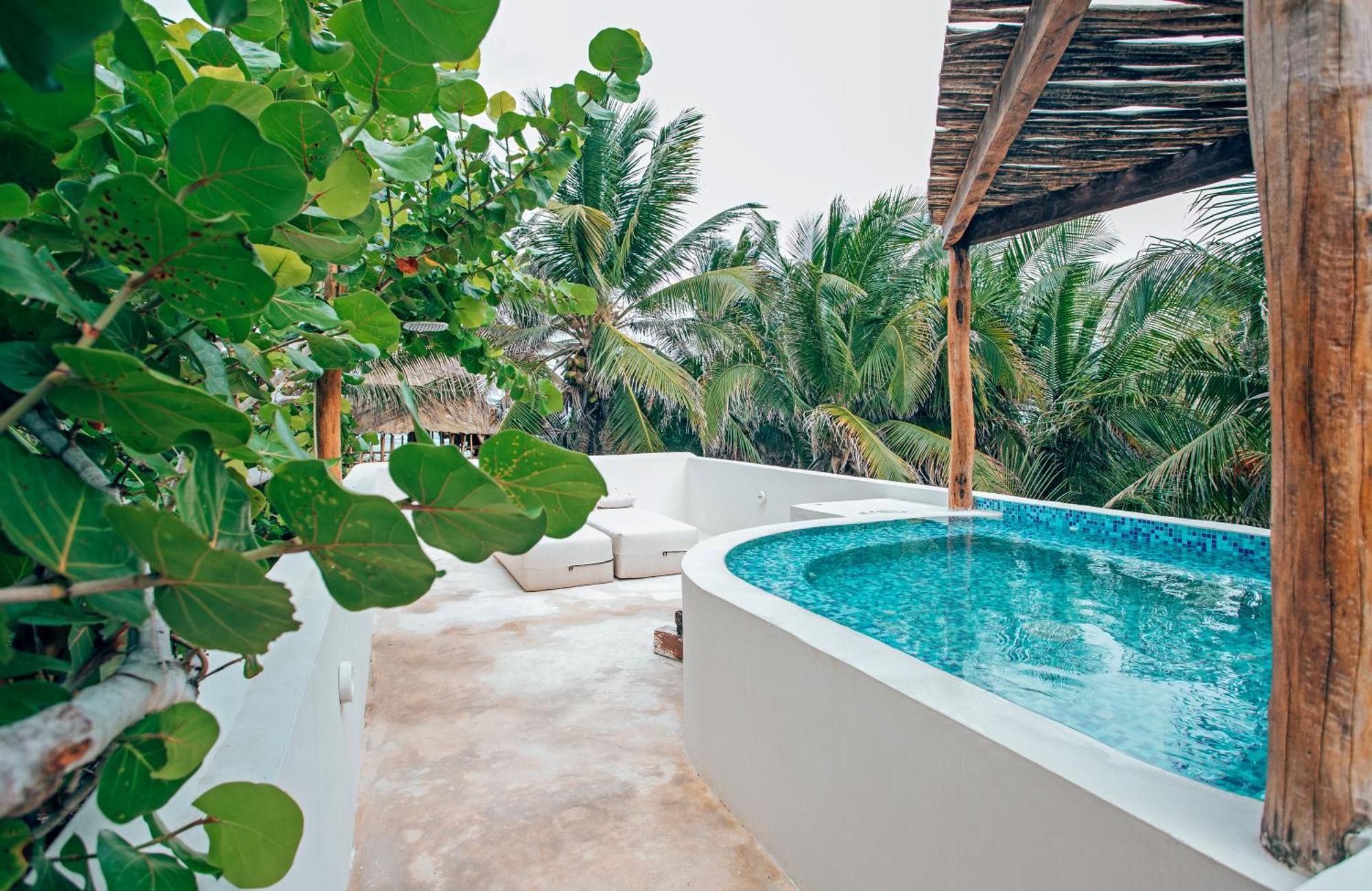 Orchid House (adults Only)