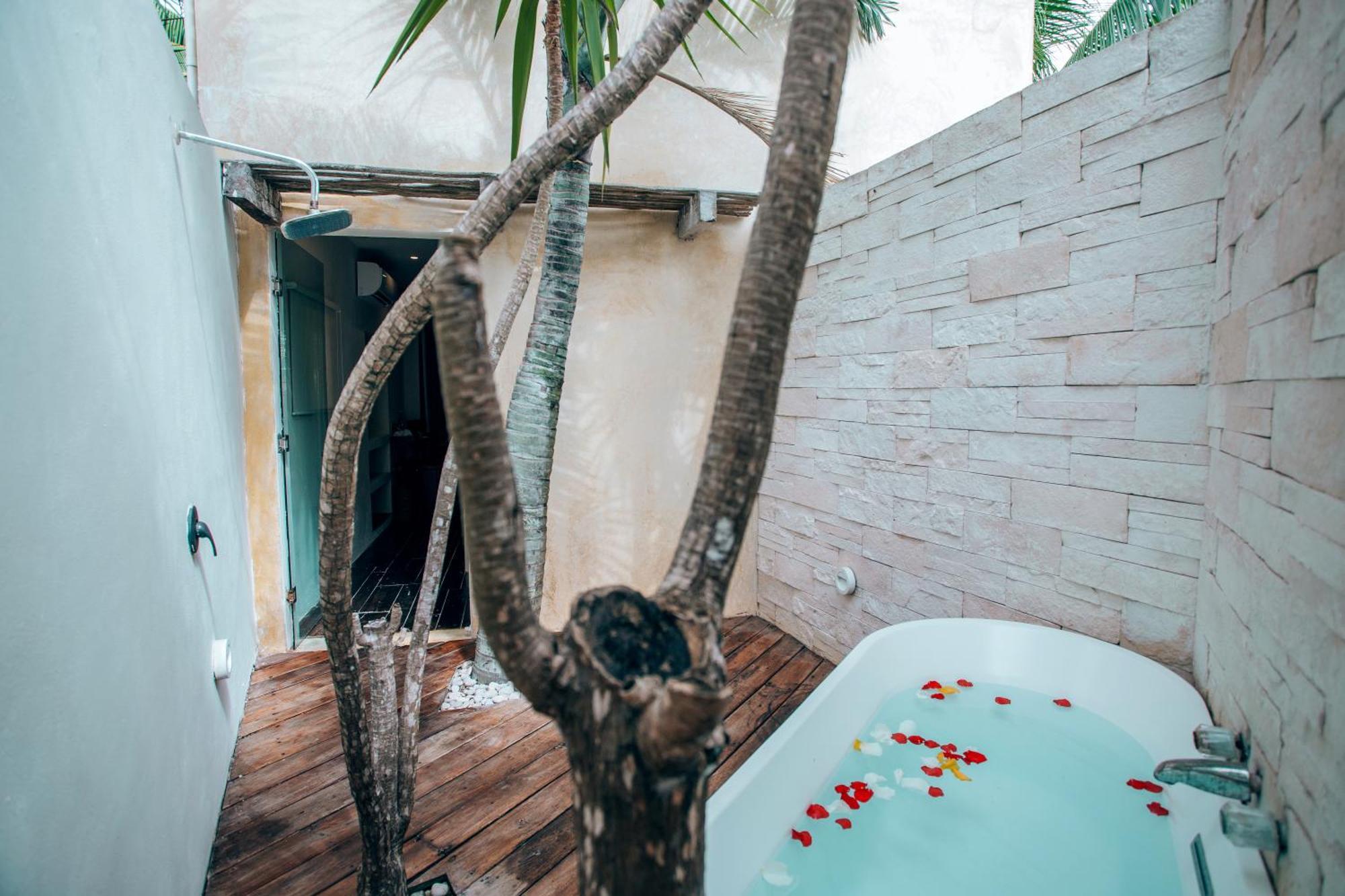 Orchid House (adults Only) 4*