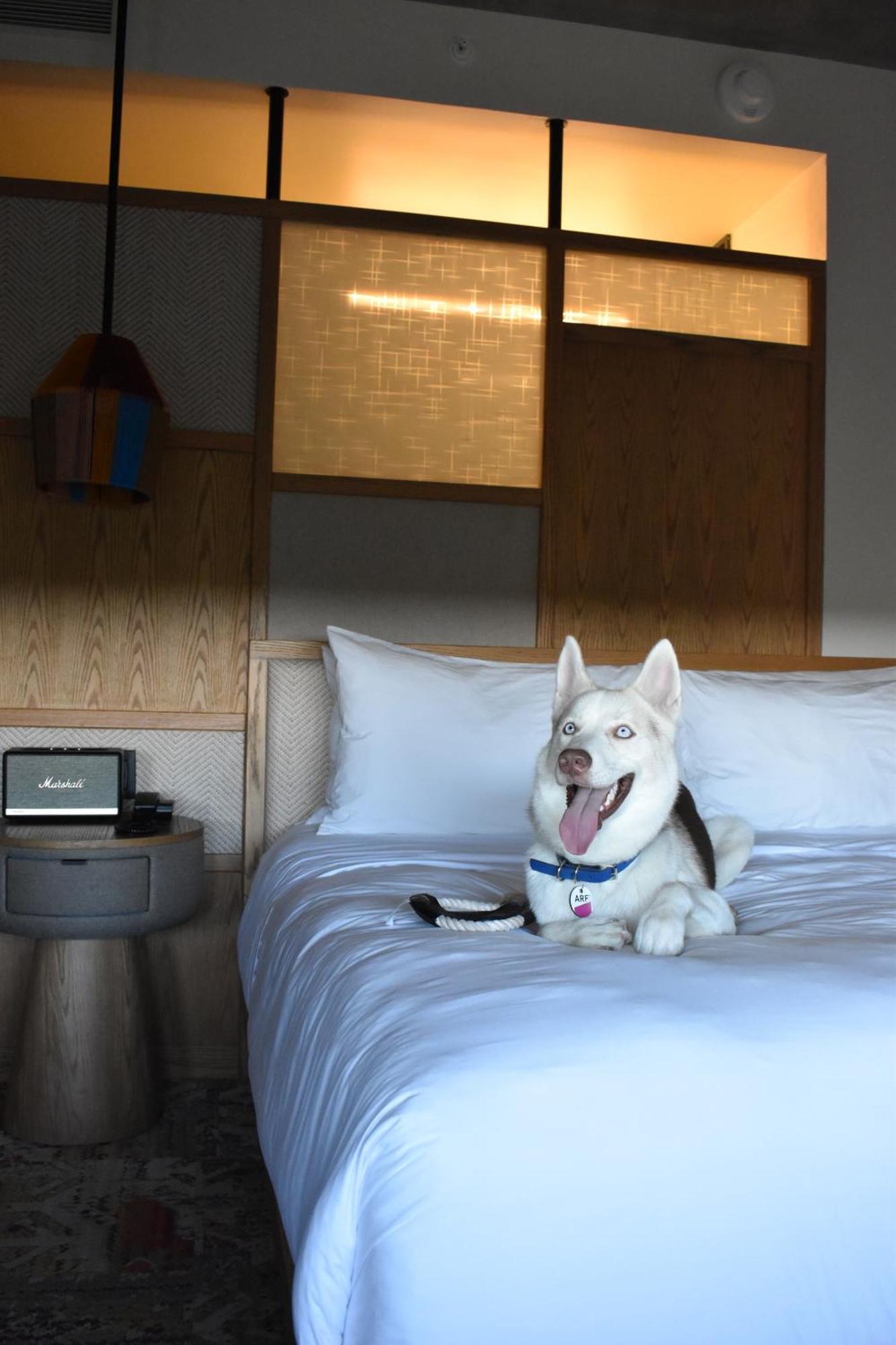 Aloft Hotel 4*