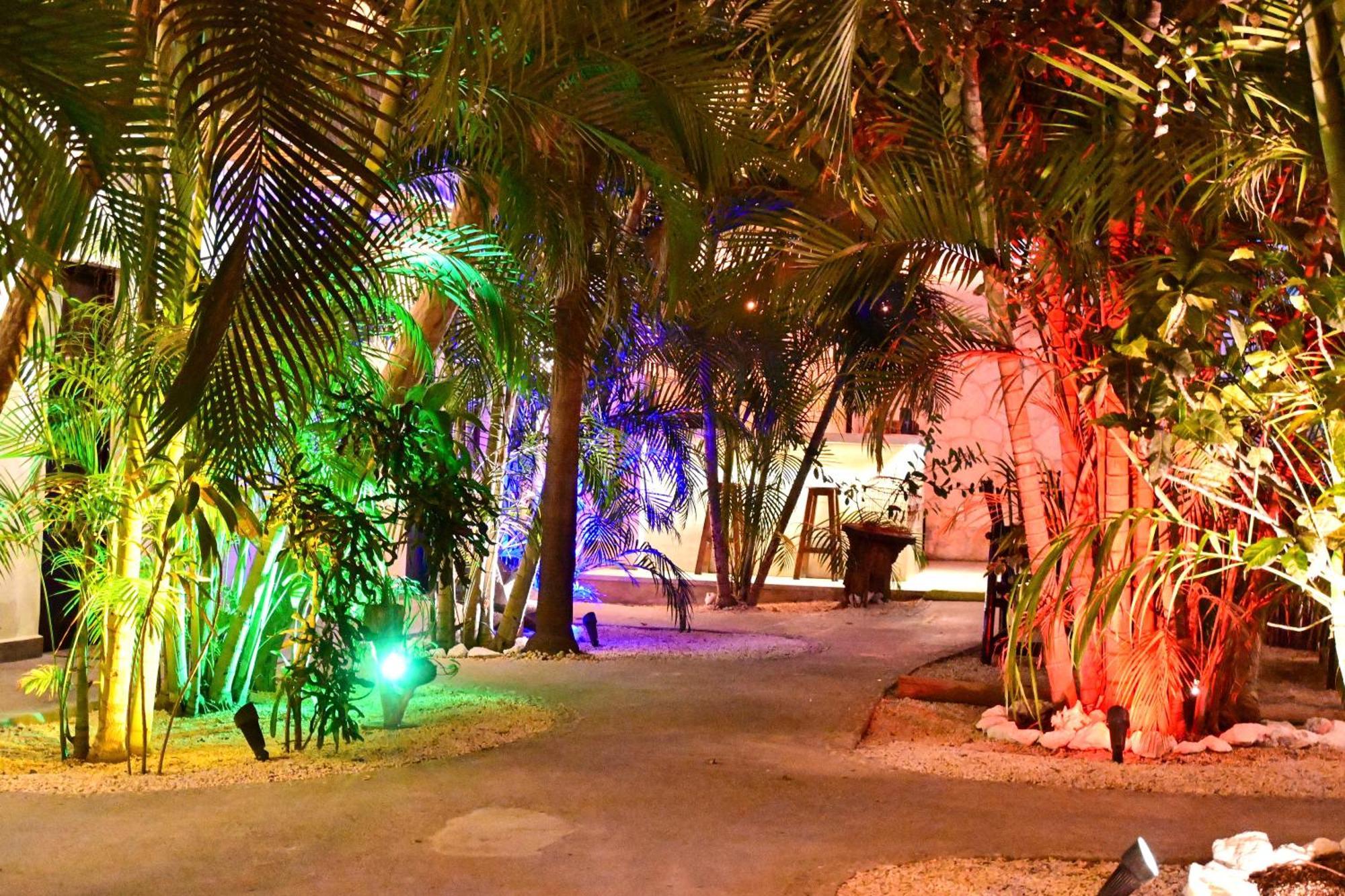 Hotel Pacha Boutique 4*