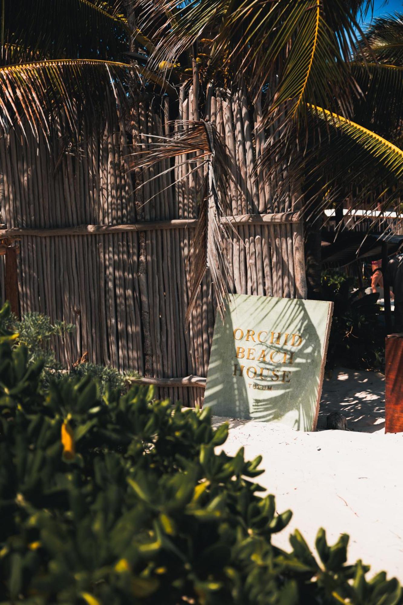 Hotel Orchid House (adults Only) Tulum