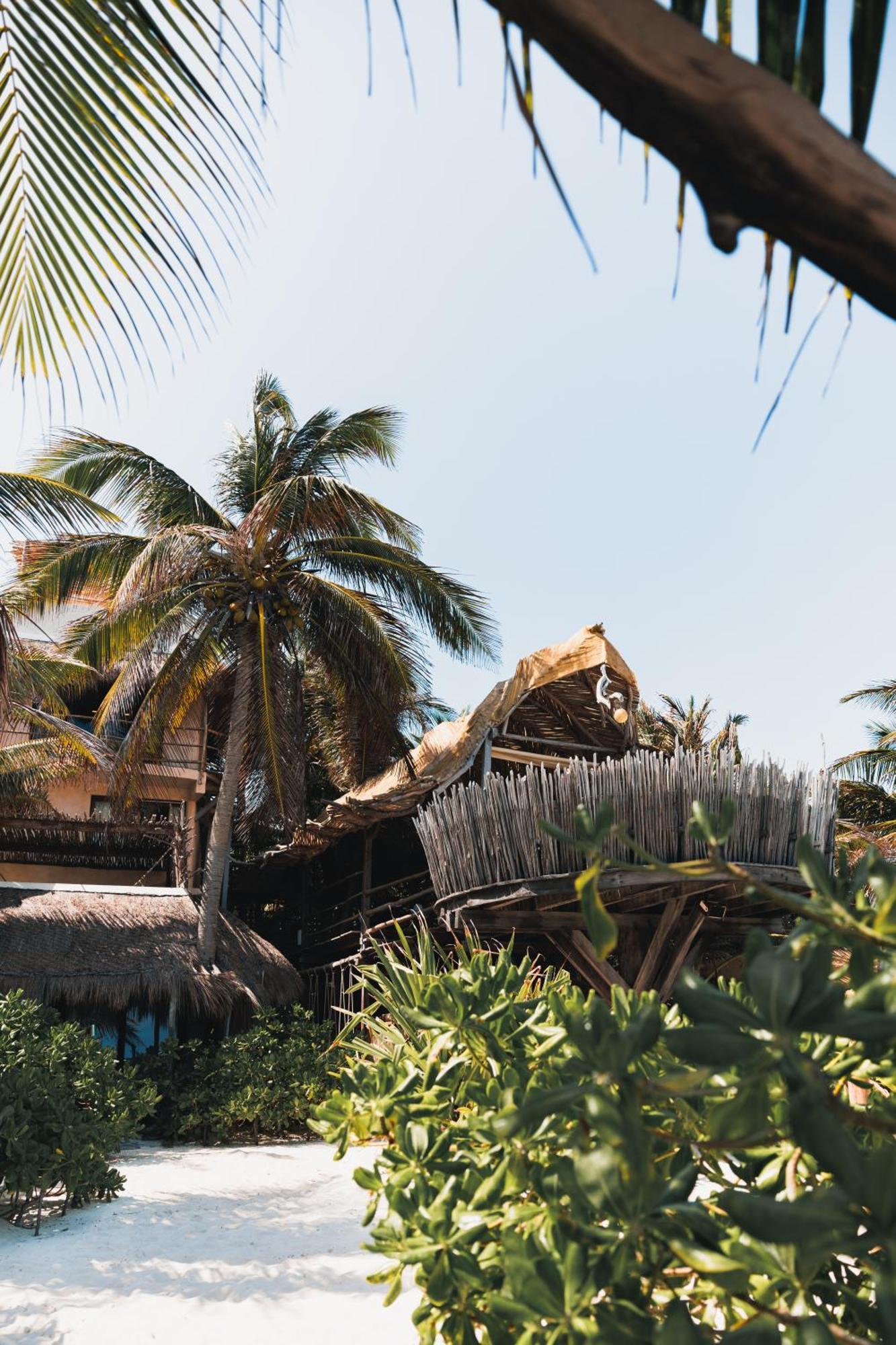 Orchid House (adults Only) 4* Tulum