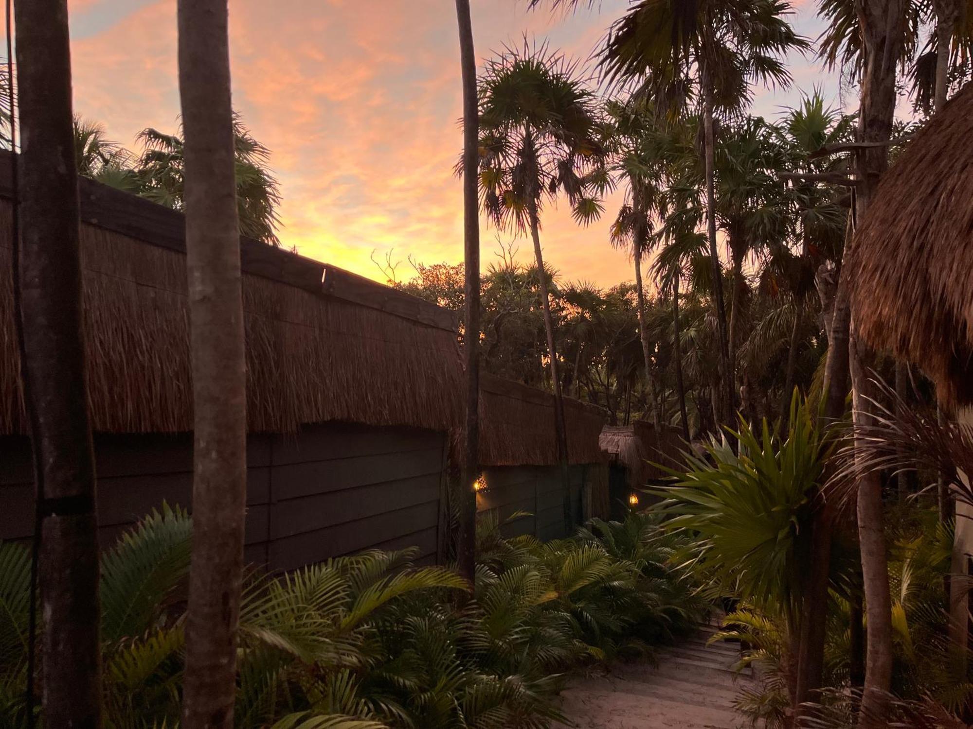 Amana , Front Tulum