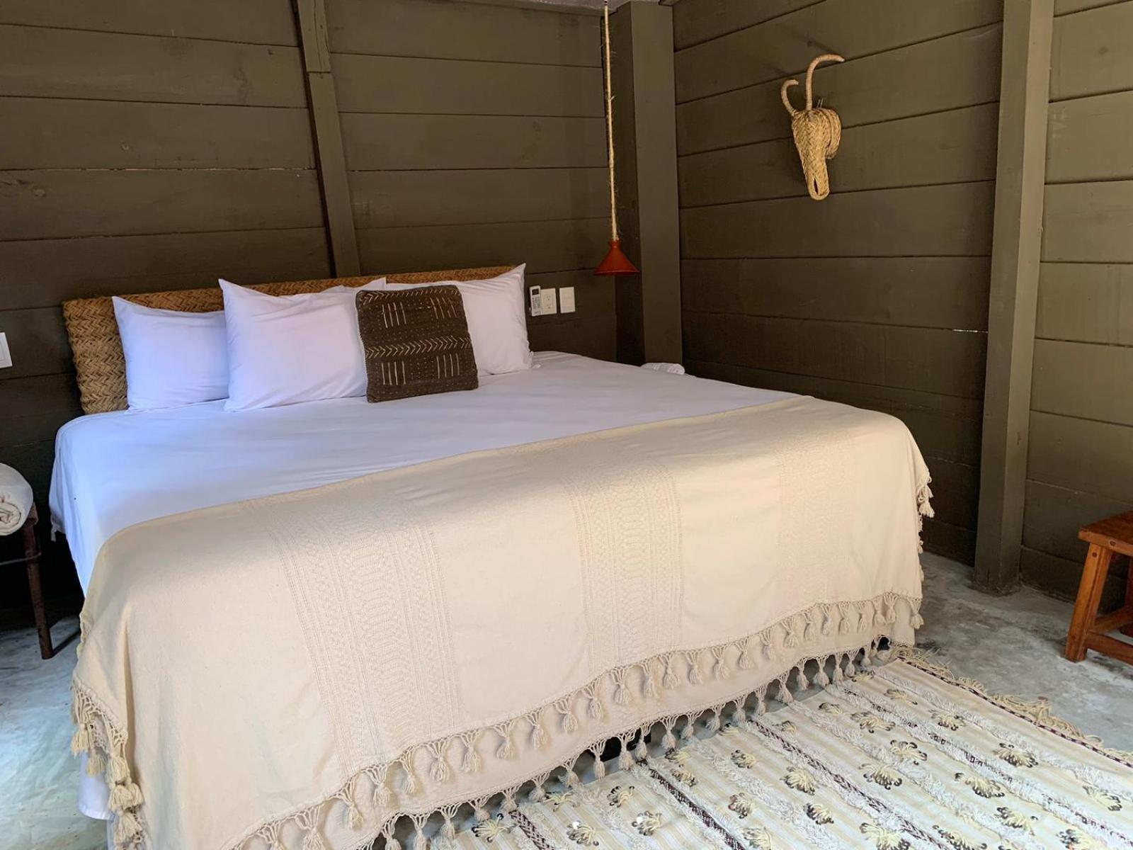 Phoenix Tulum
