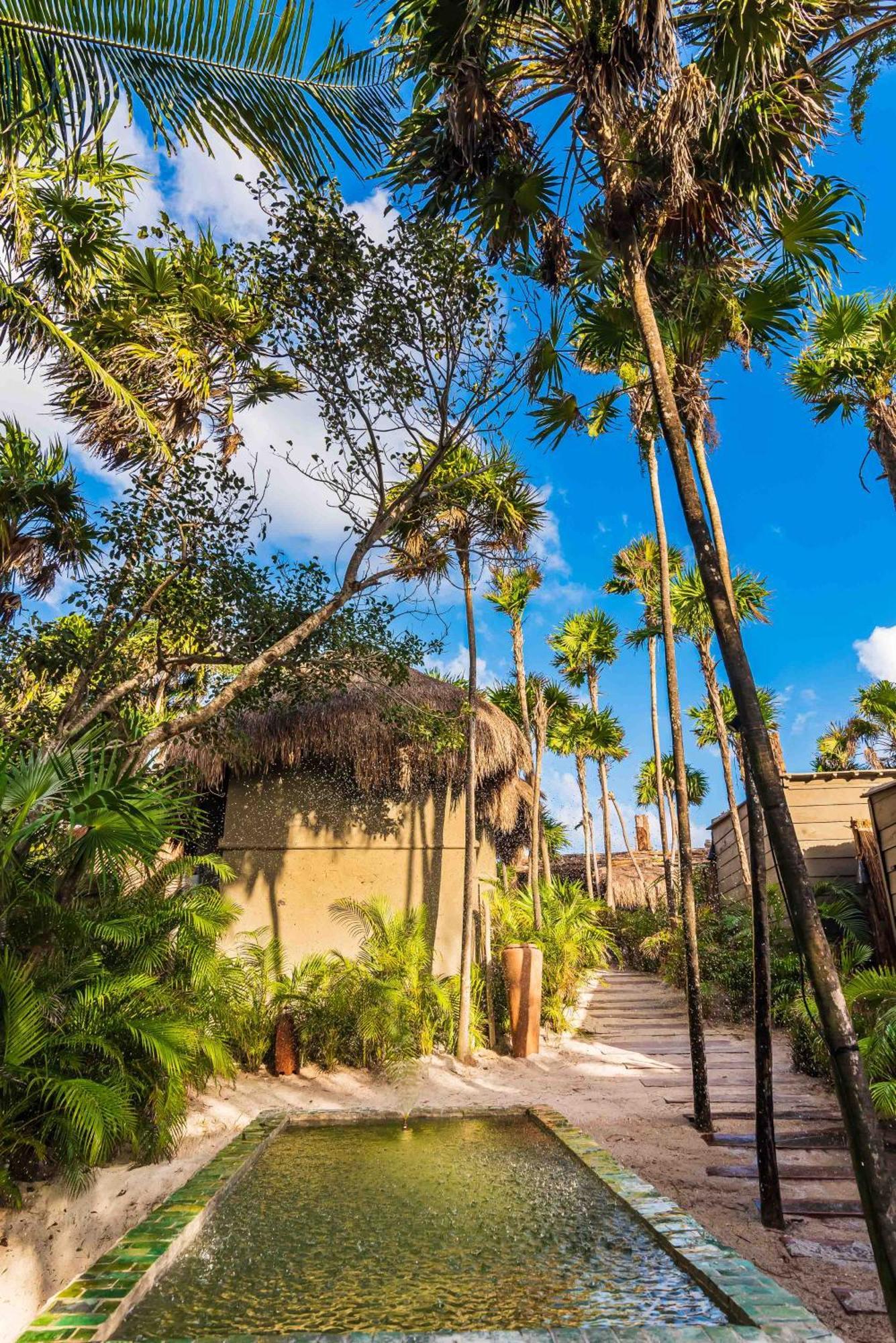 Phoenix * Tulum