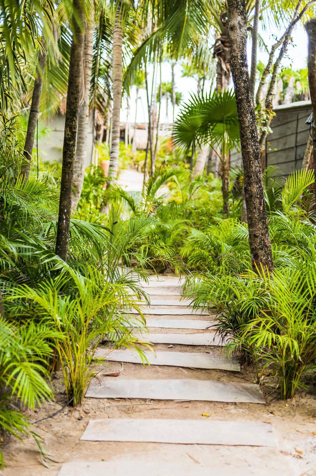 Phoenix Tulum