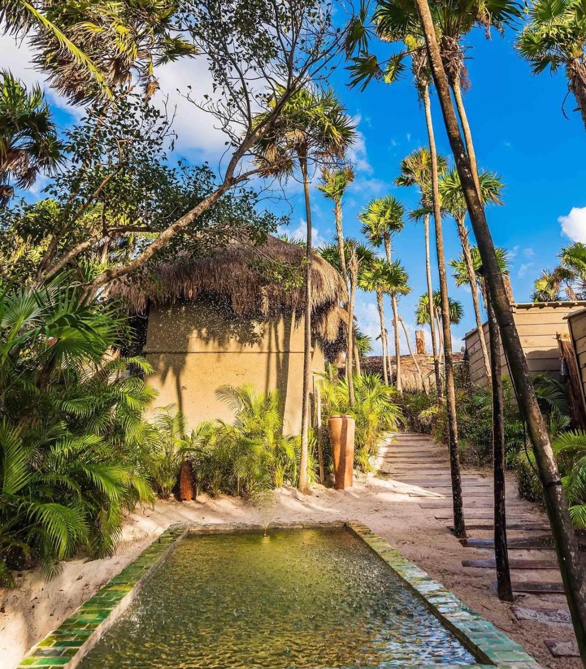 Amana , Front Tulum