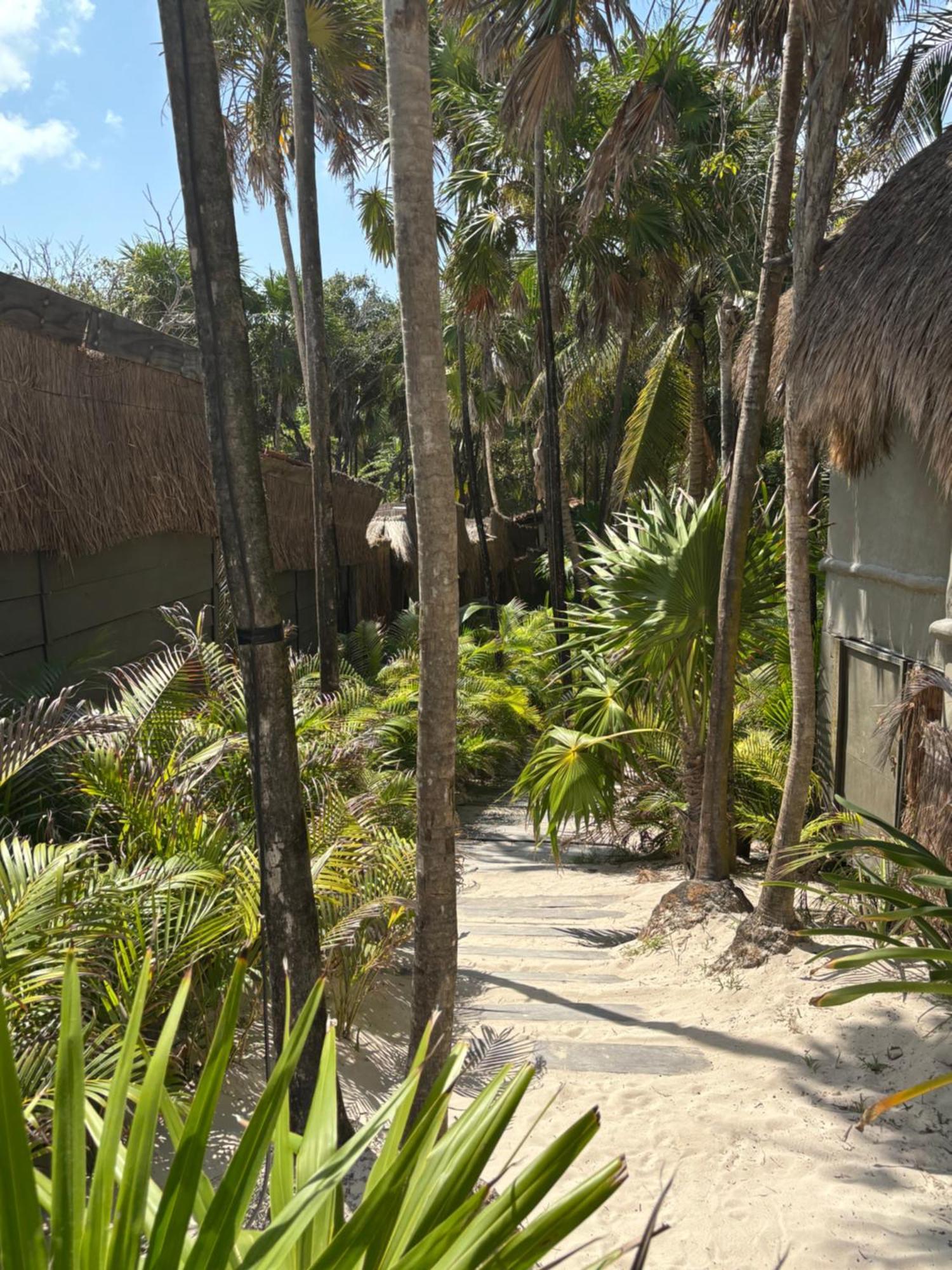 Amana , Front Hotel