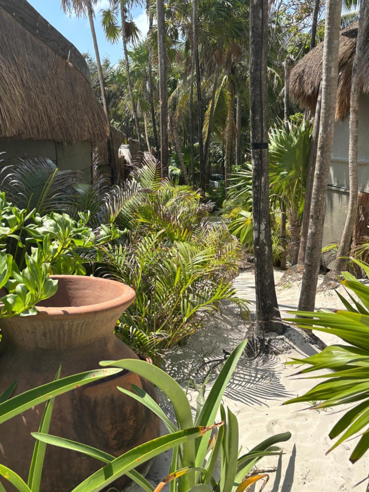Amana , Front Hotel