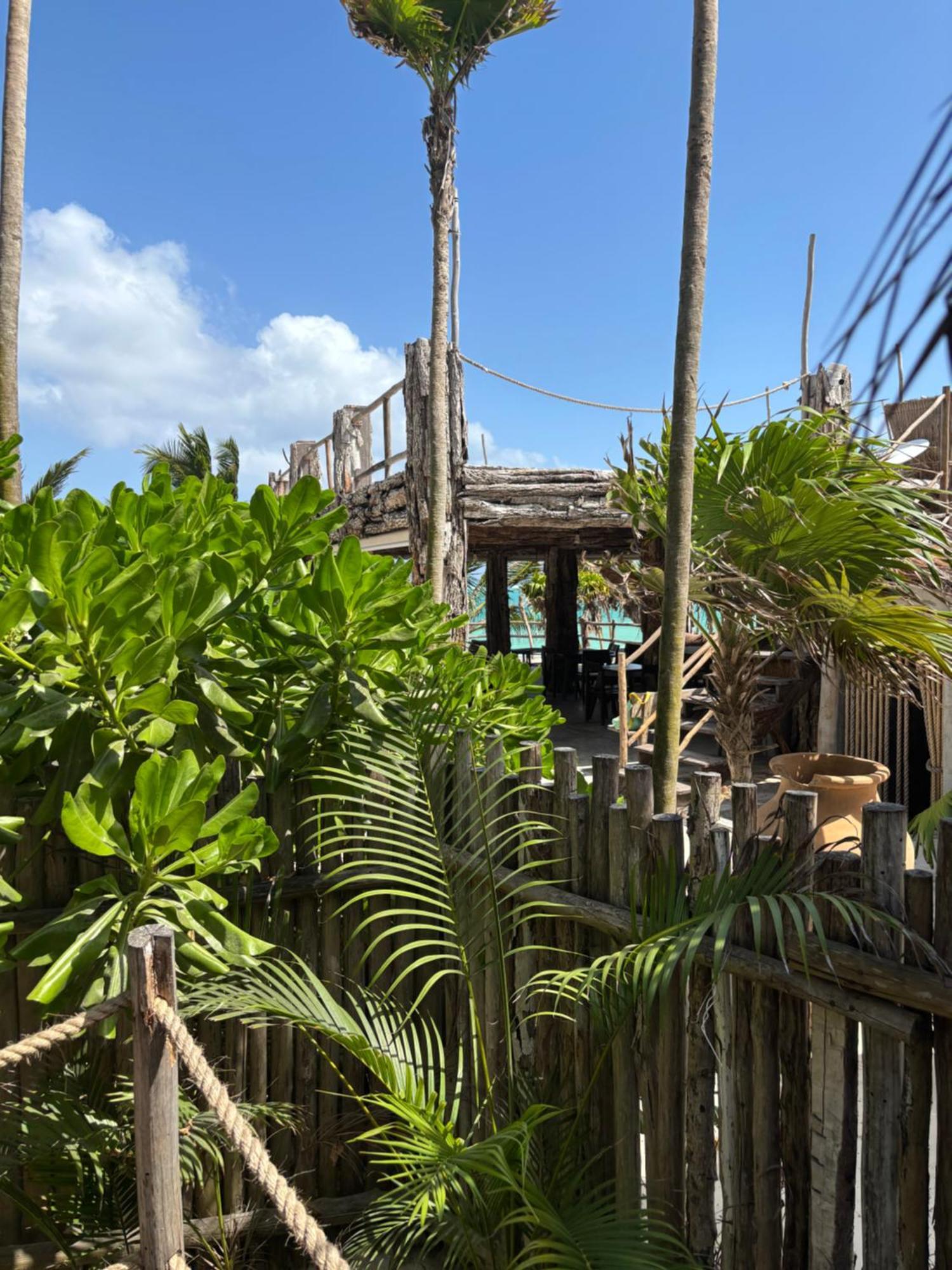 Hotel Amana , Front *
