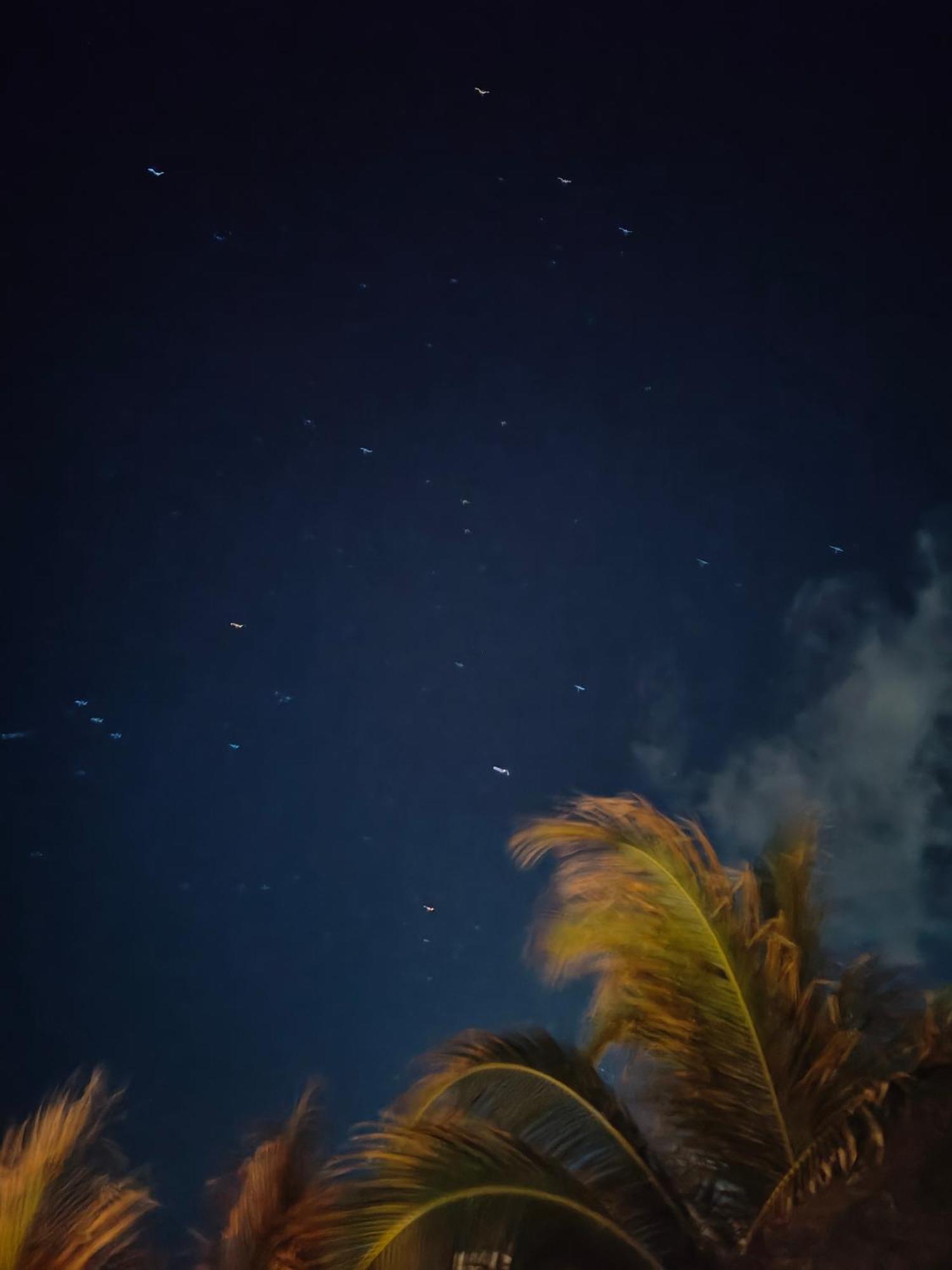 Azucar 3* Tulum