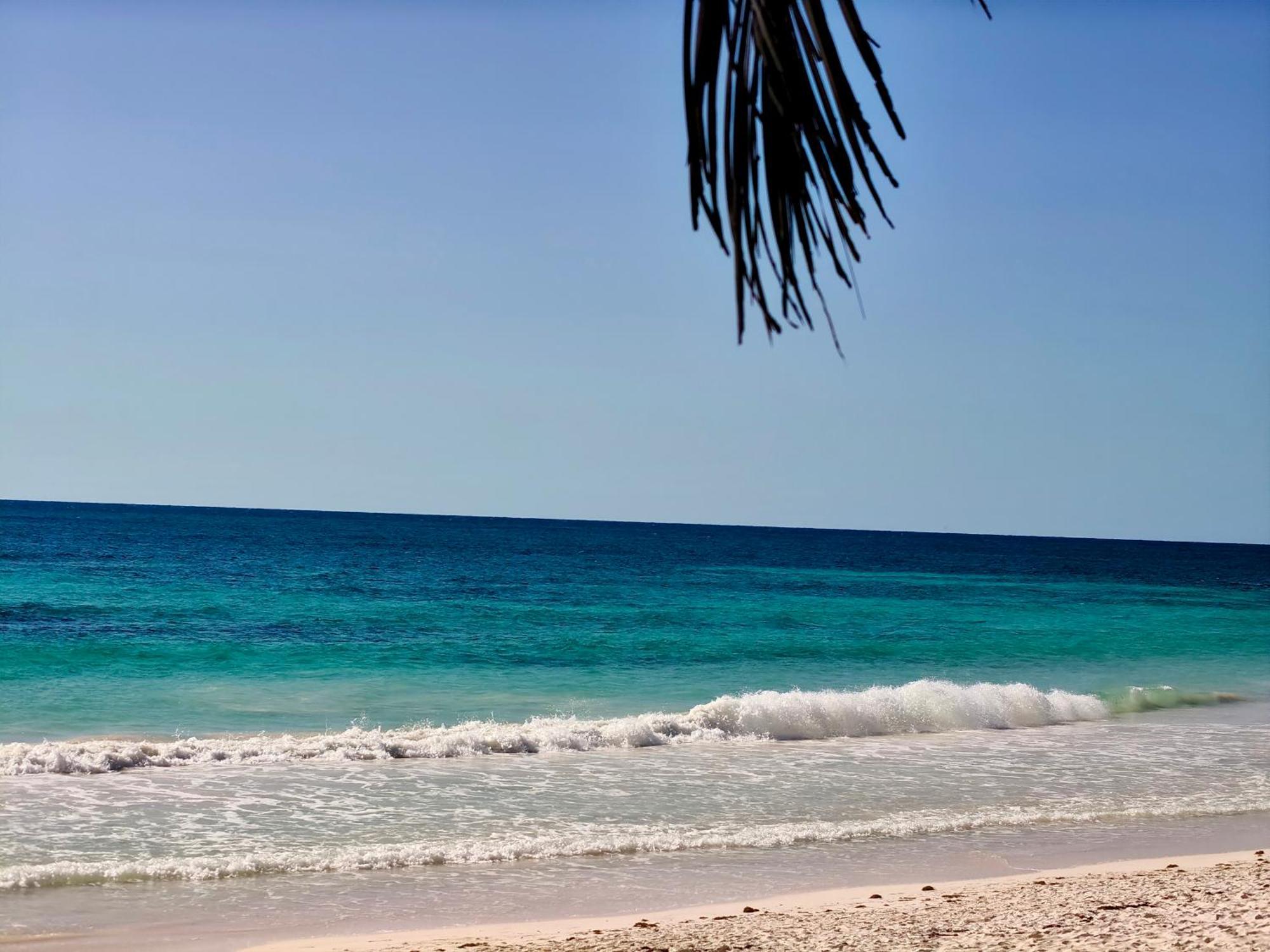 Azucar Tulum