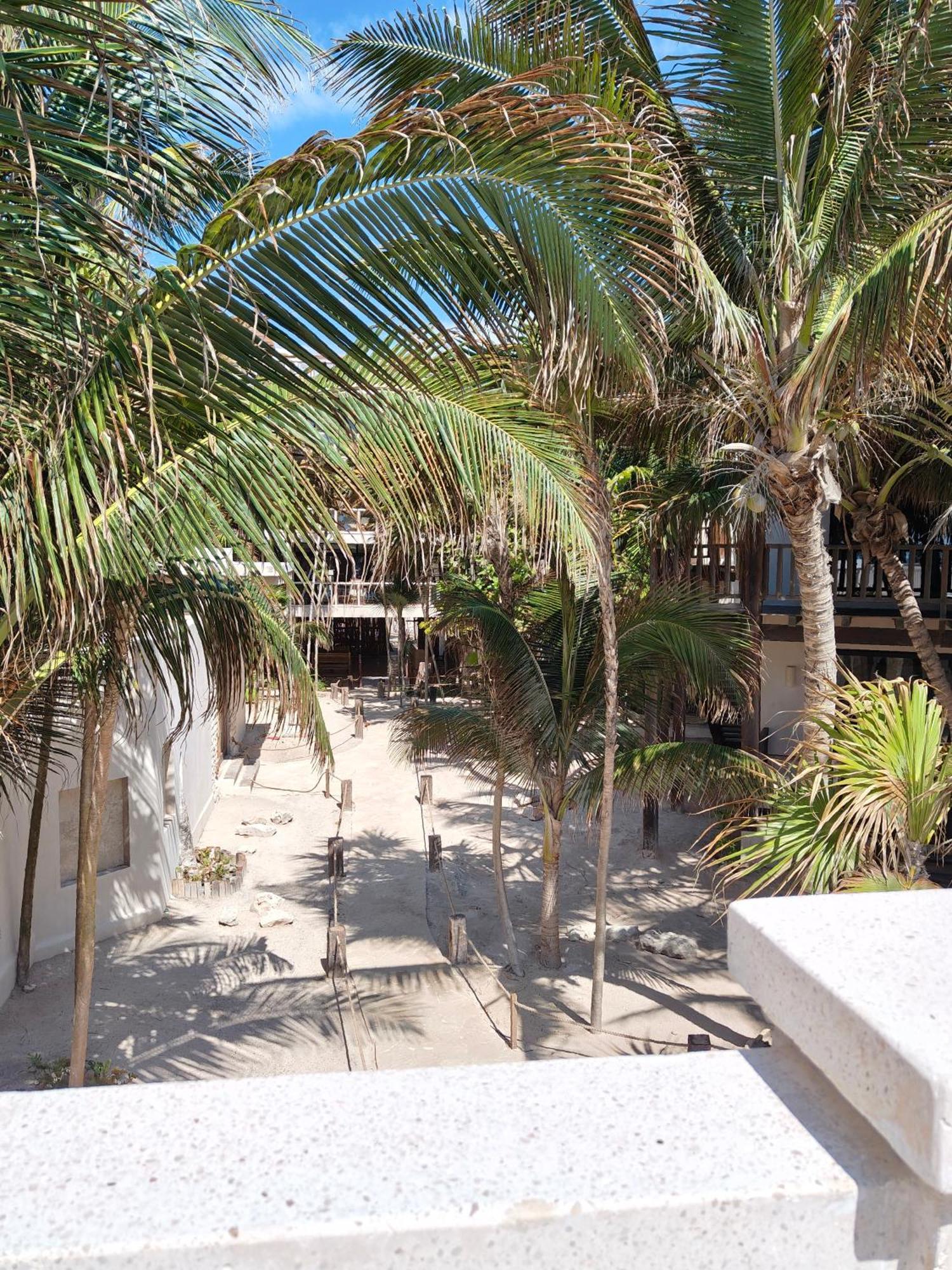 Azucar Hotel 3*