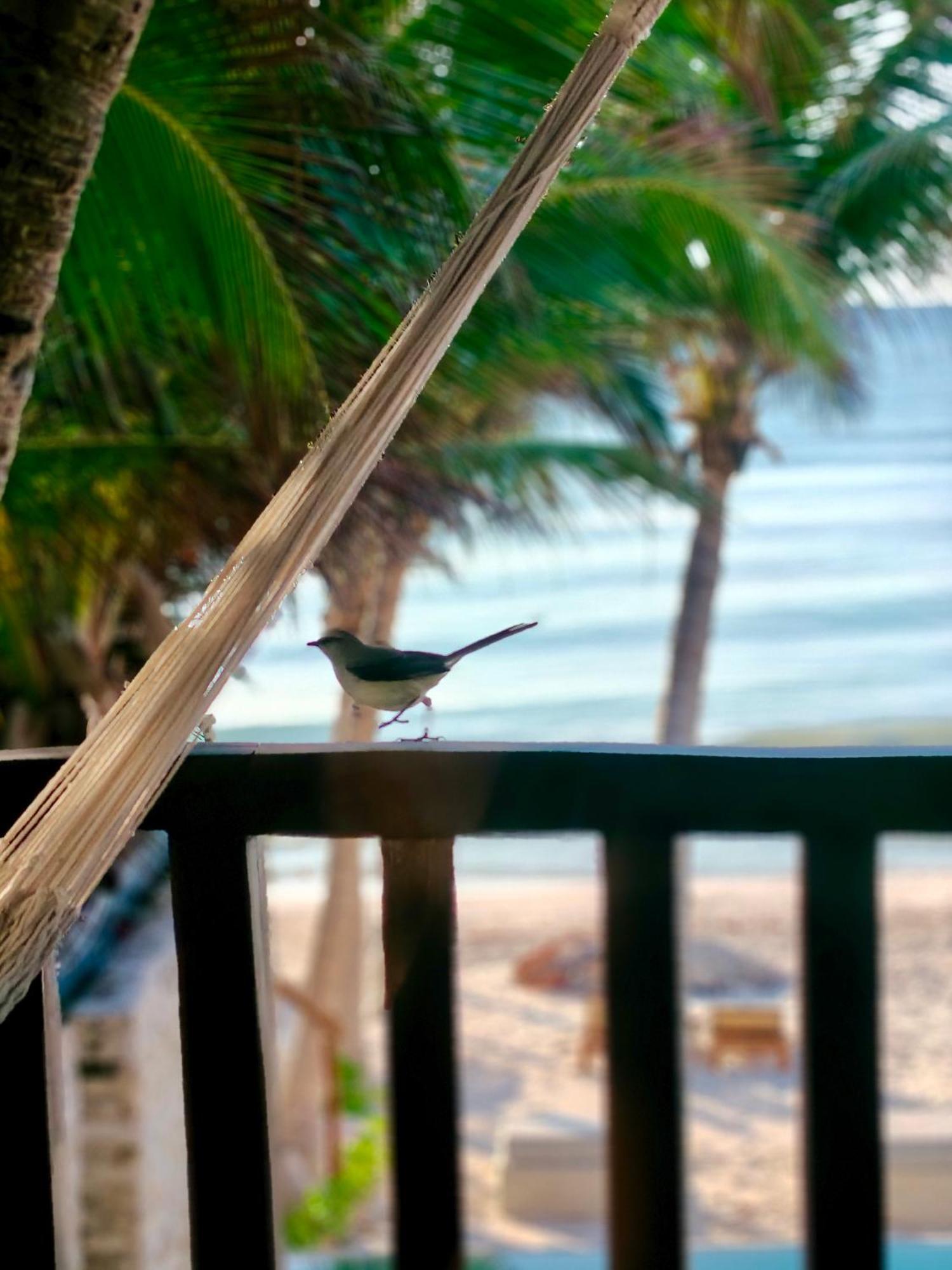 Hotel Azucar Tulum