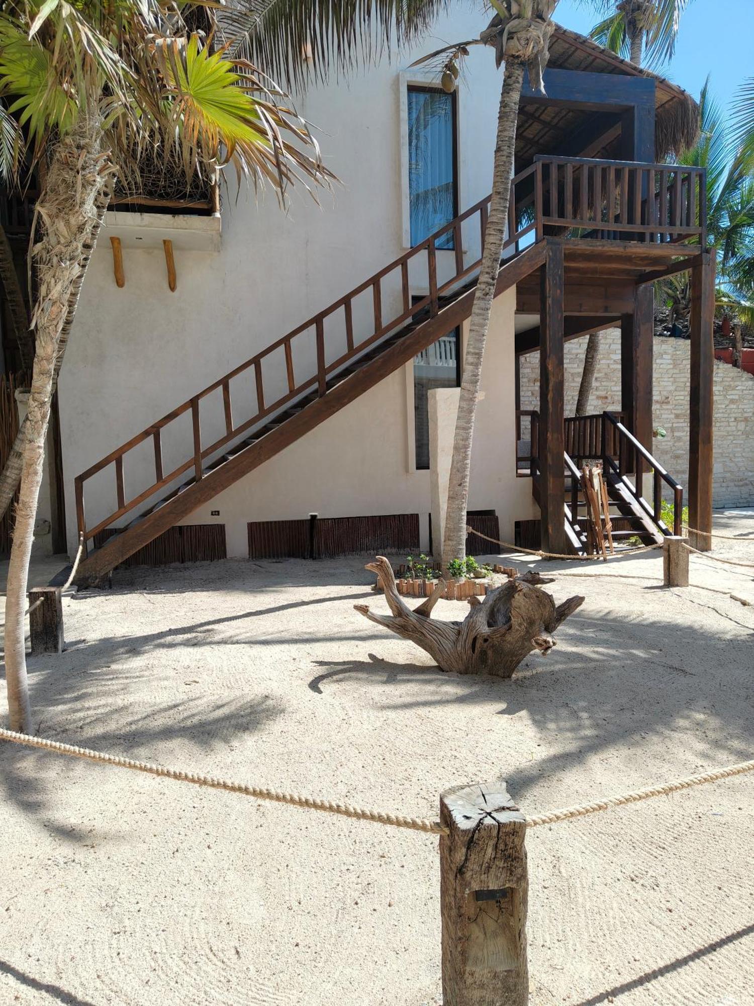 Azucar