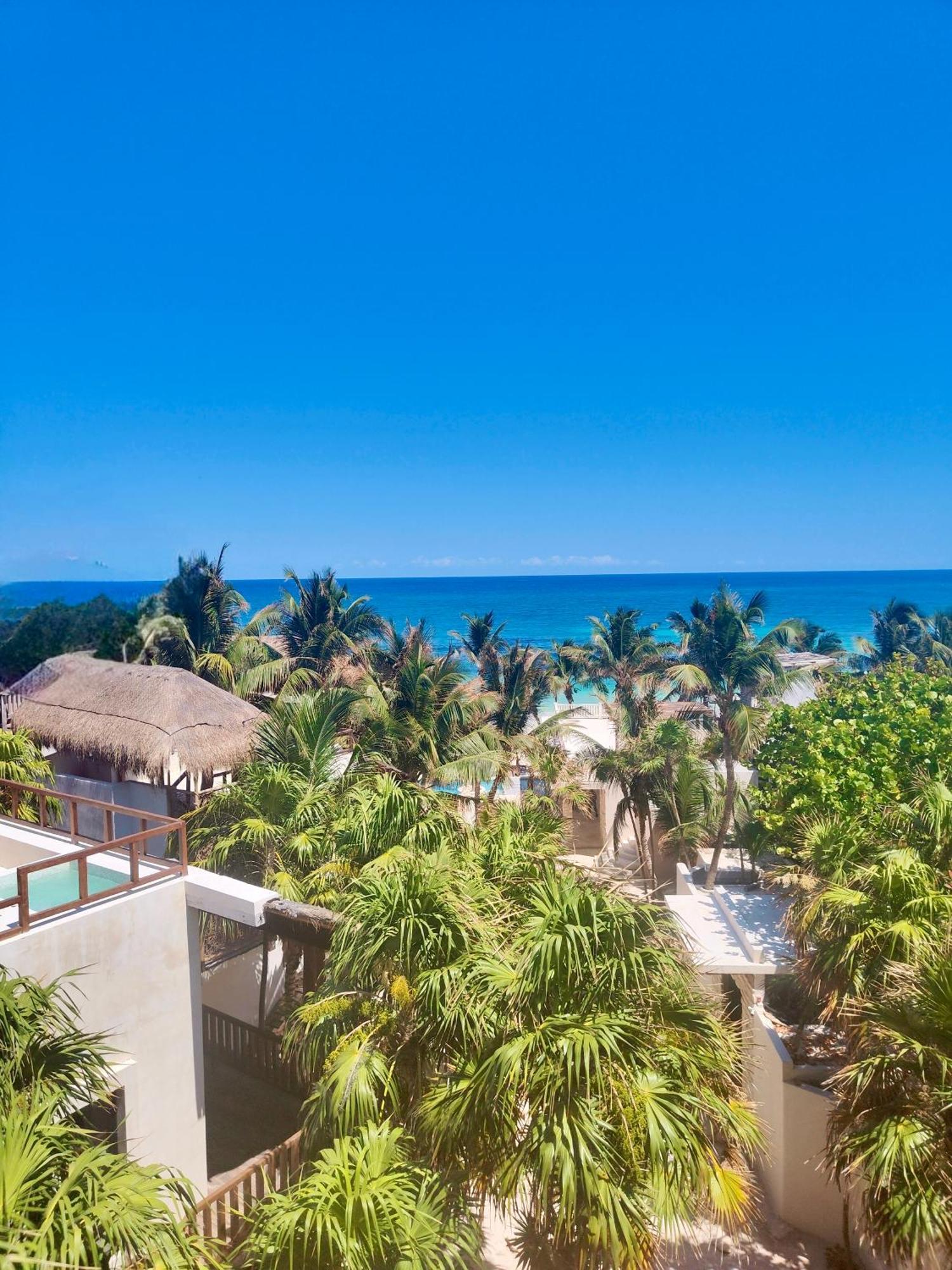 Azucar Hotel