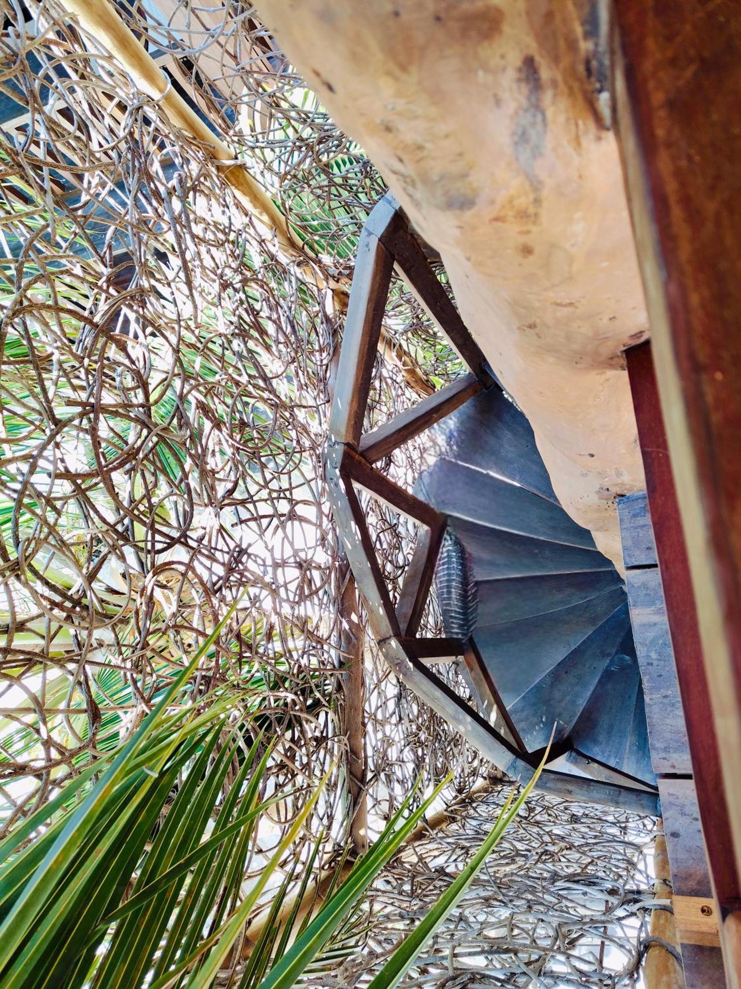 Azucar Tulum