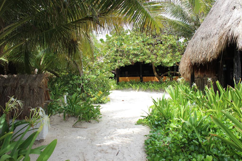 Retiro Maya *