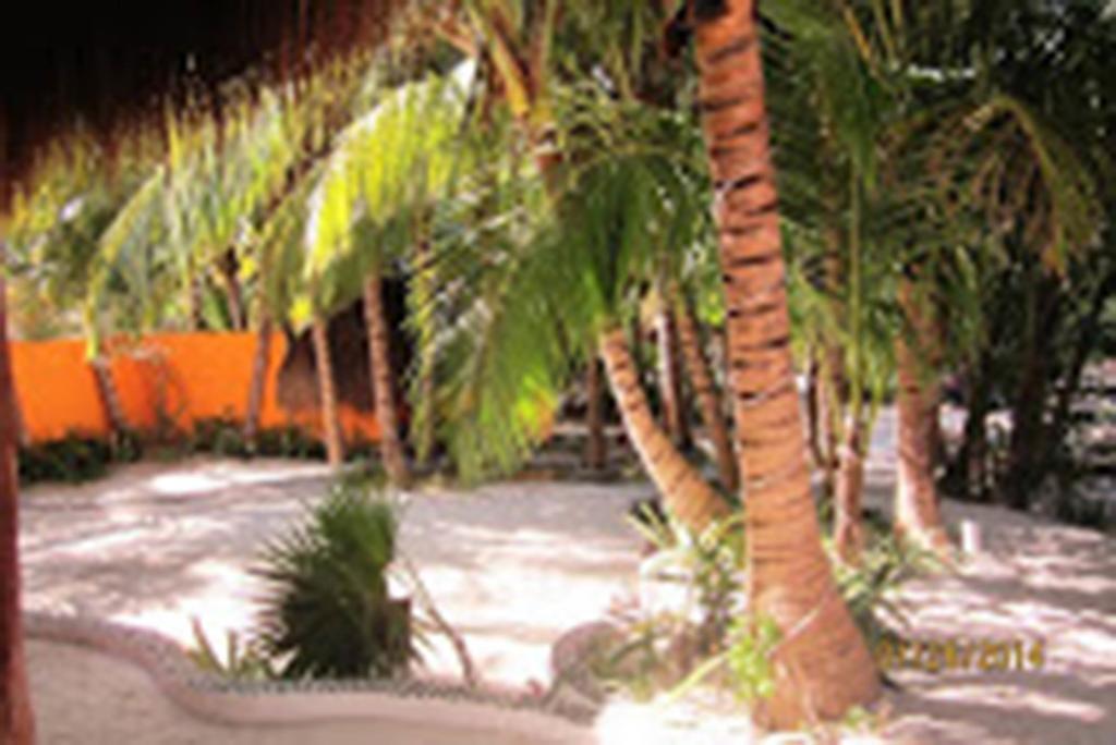 Retiro Maya Tulum