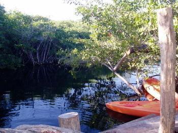 Maya Y Cenote Tulum