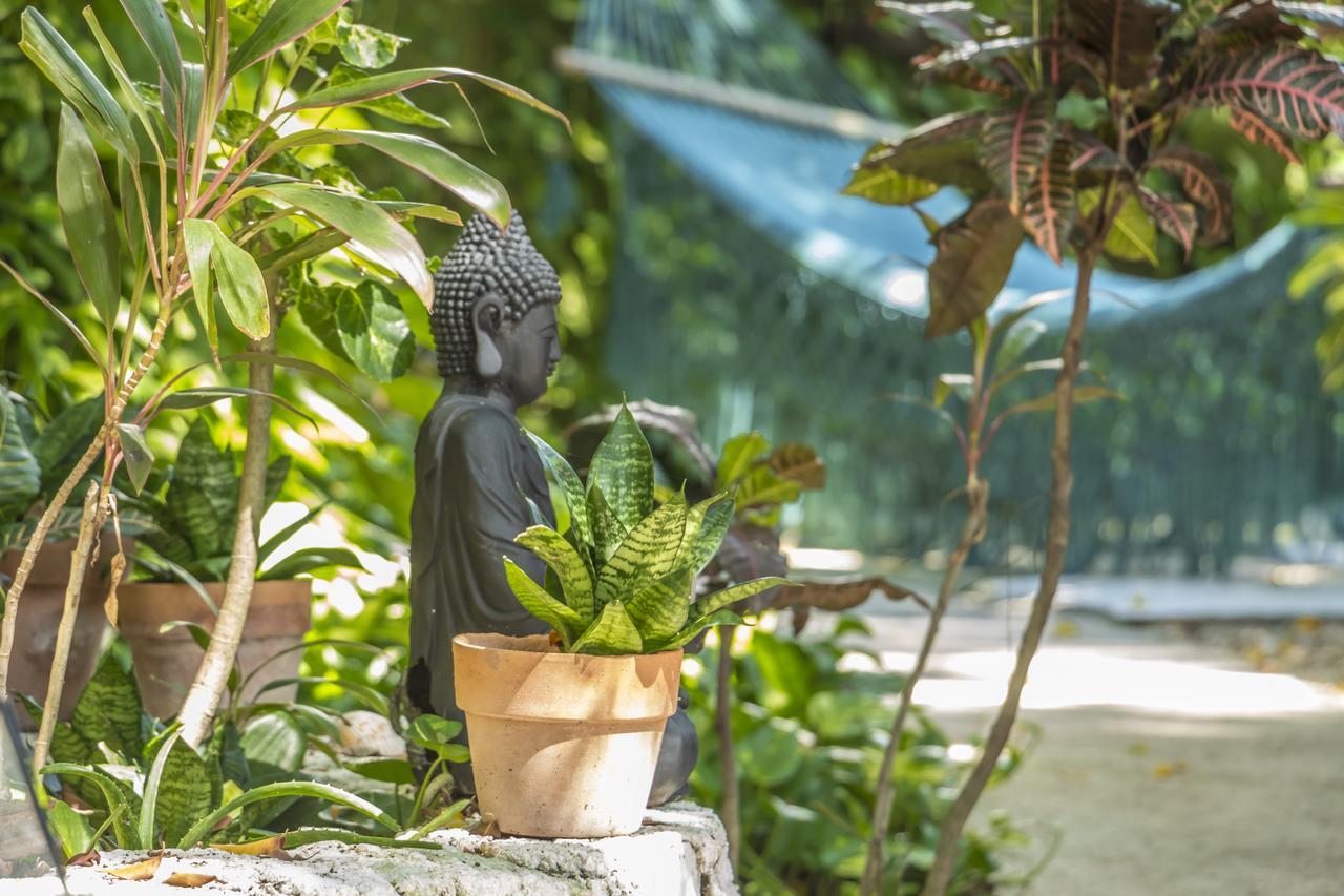 Secret Garden Tulum