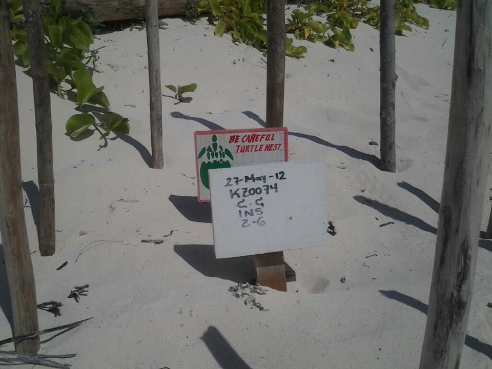 Nueva Vida De Ramiro Tulum