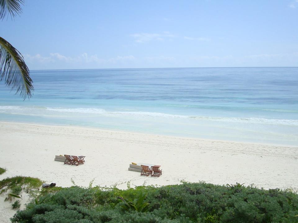 Nueva Vida De Ramiro Tulum