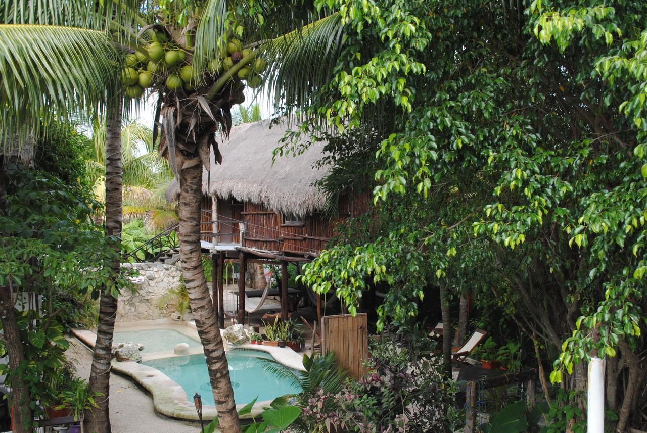 Hostal Lobo Inn Tulum Tulum
