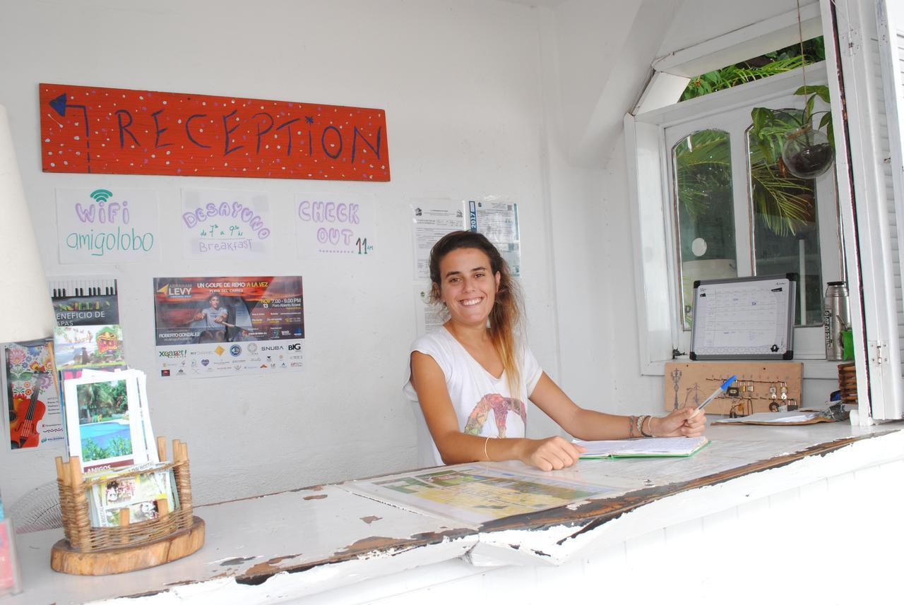 Lobo Inn Tulum Hostal *