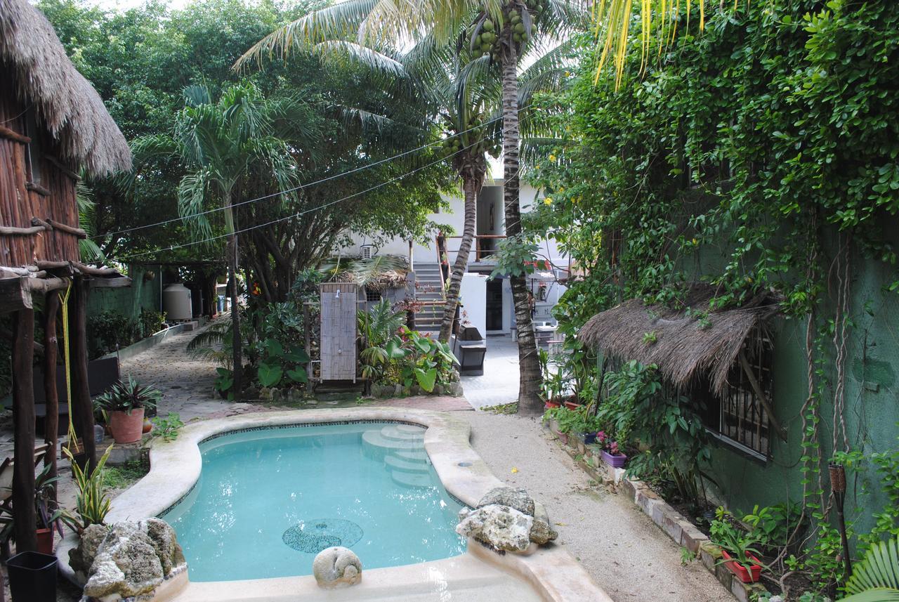 Lobo Inn Tulum Hostal *