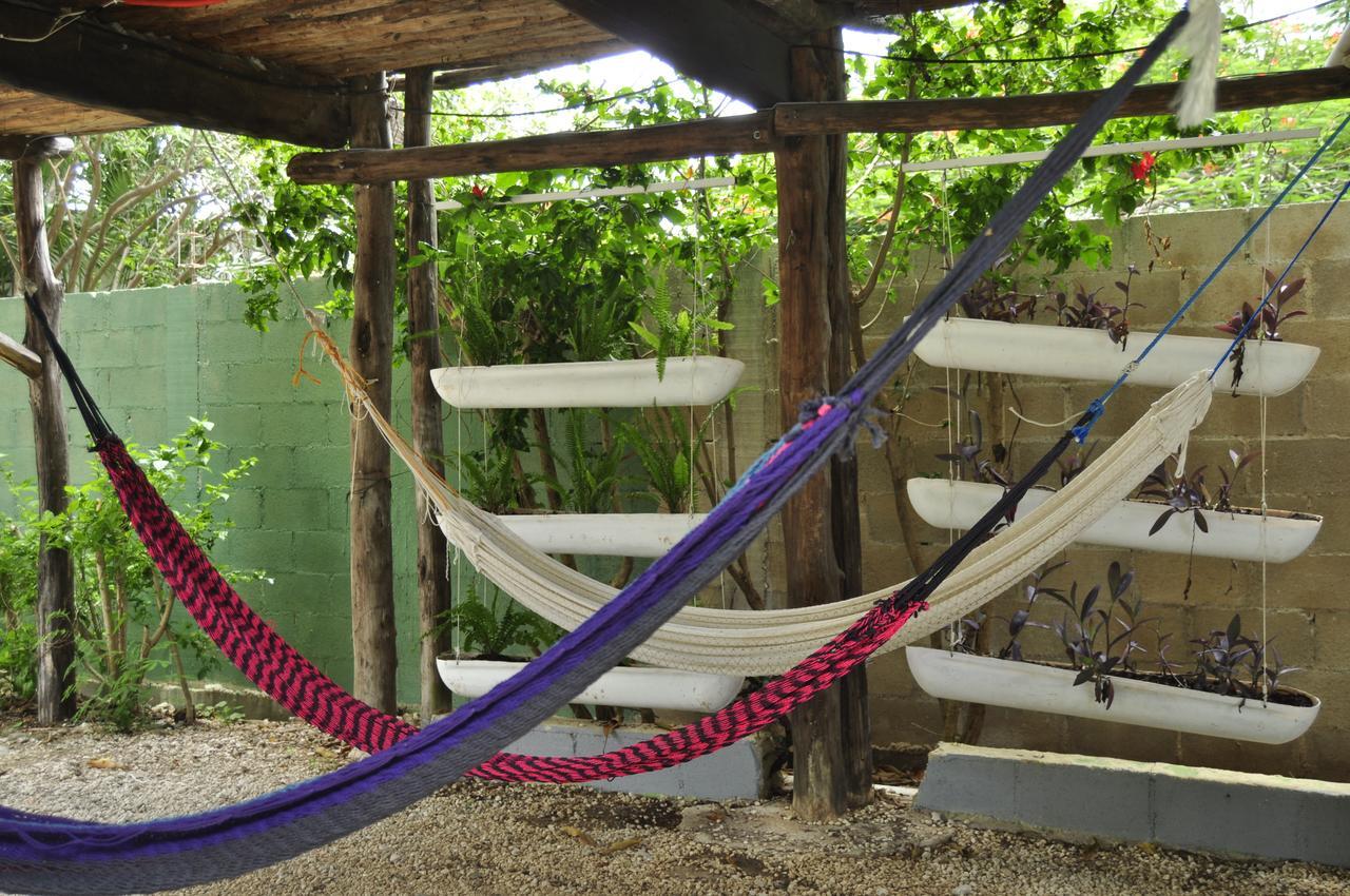 Lobo Inn Tulum *