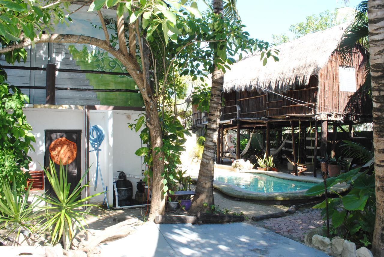 Lobo Inn Tulum Hostal Tulum