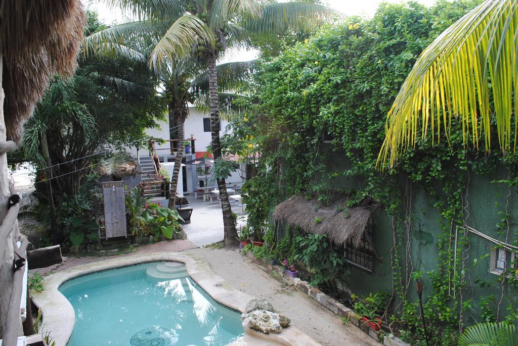 Hostal Lobo Inn Tulum Tulum