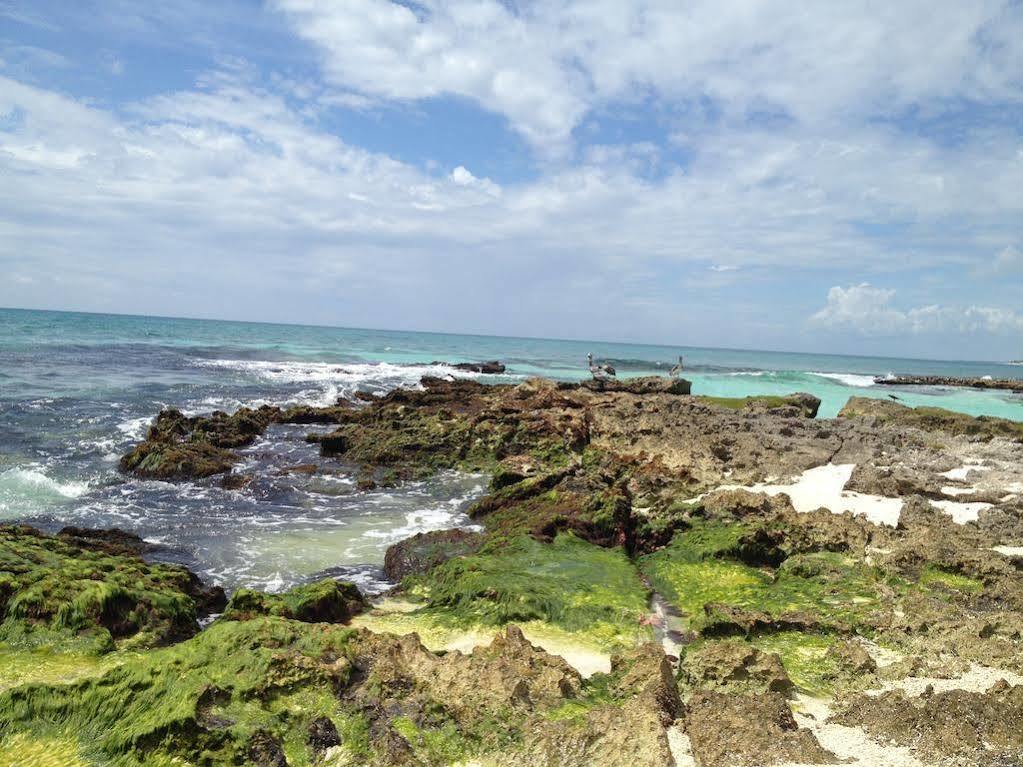 Caleta Tankah Hotel 3*