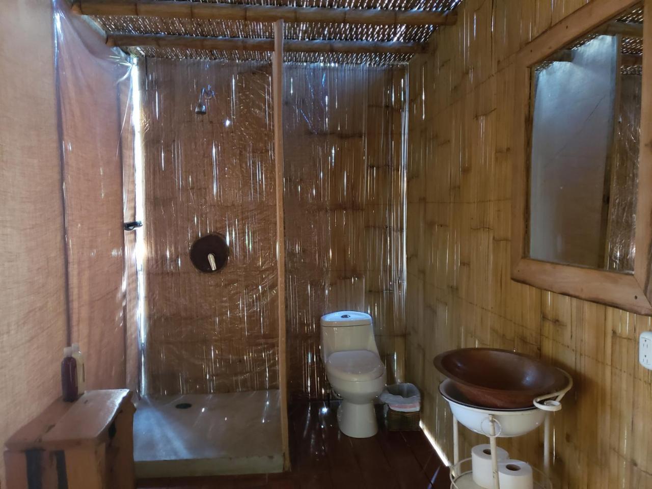 Aqua Viva 4*