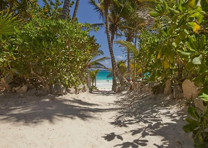 Dos Ceibas Tulum - Massage & Yoga Inclusive
