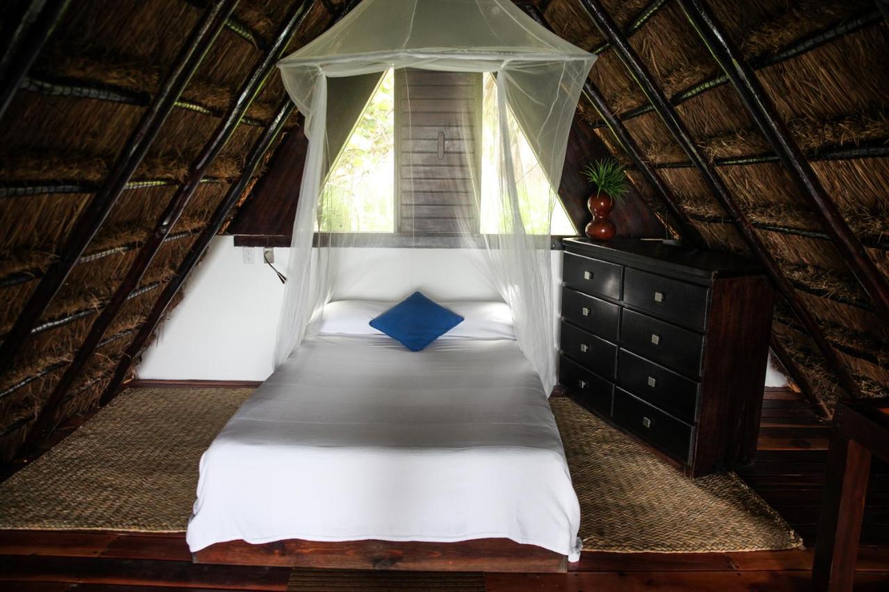 Playa Selva Lodge *