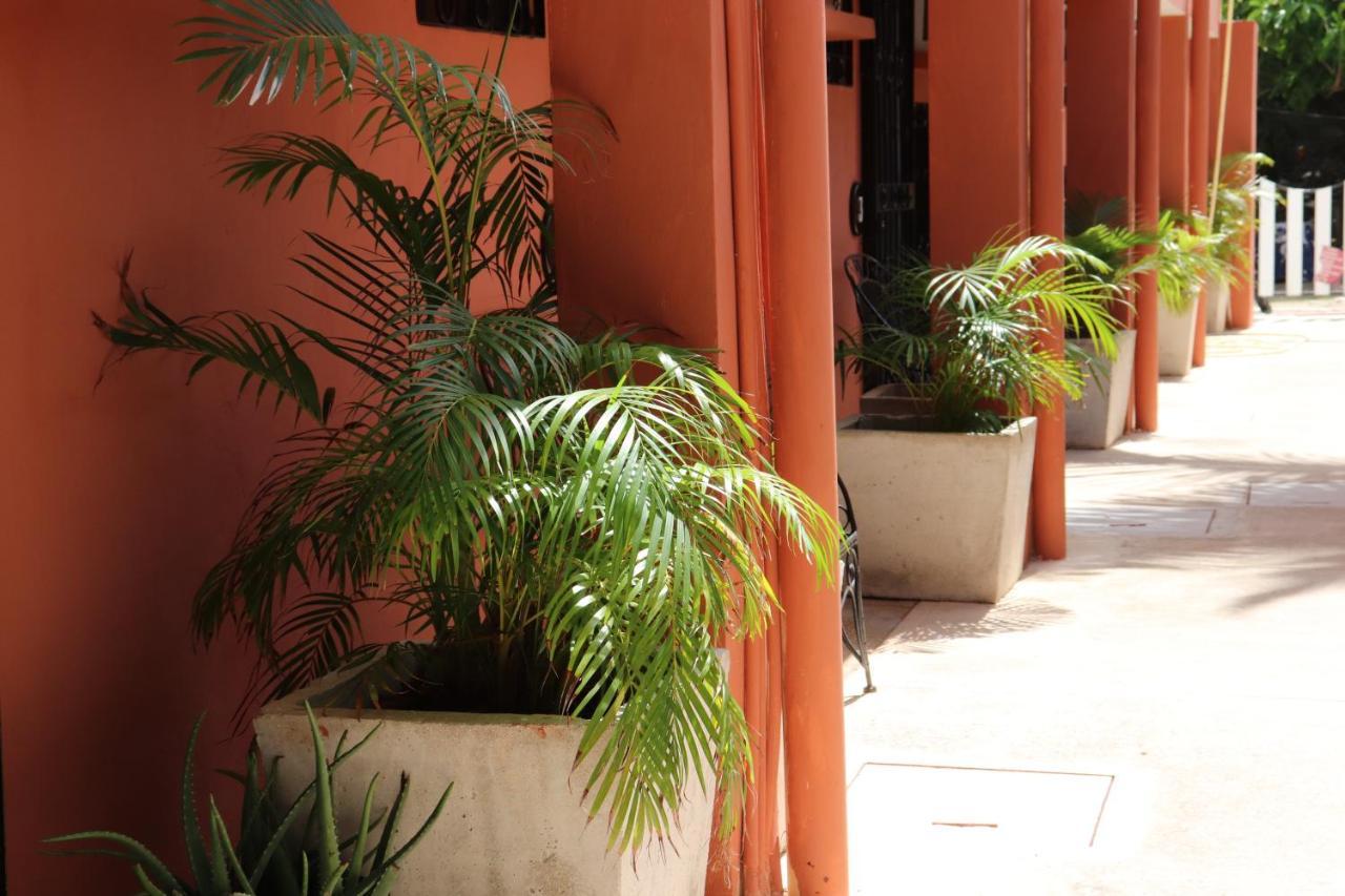 Andrea's Hotel Tulum