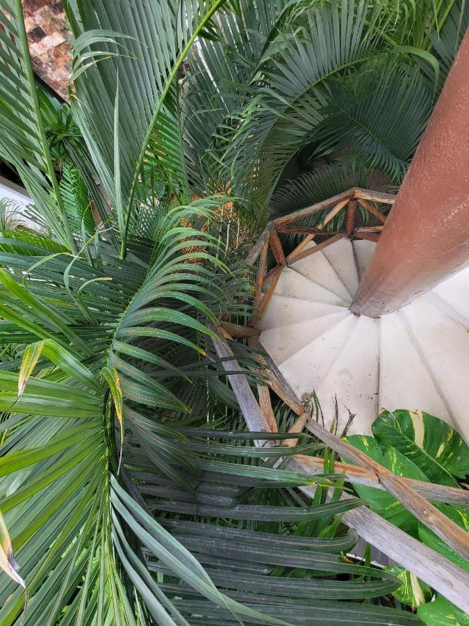 The Secret Garden Tulum