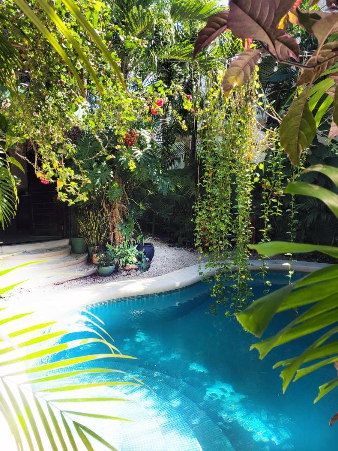 The Secret Garden Apartment *