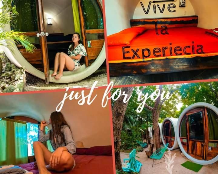 Tubo Hostal
