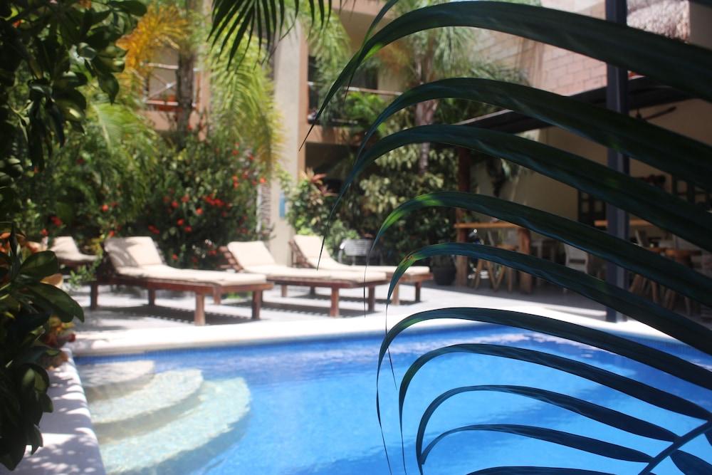 Hotel Basic 3*