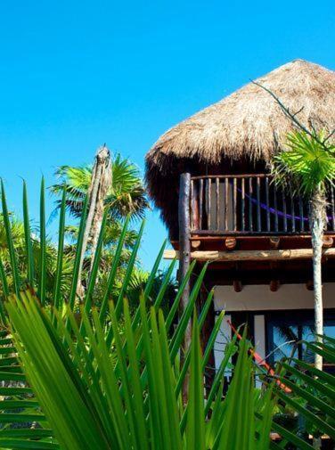 Playa Selva Tulum