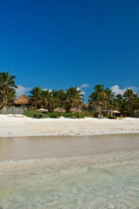 Lodge Playa Selva *