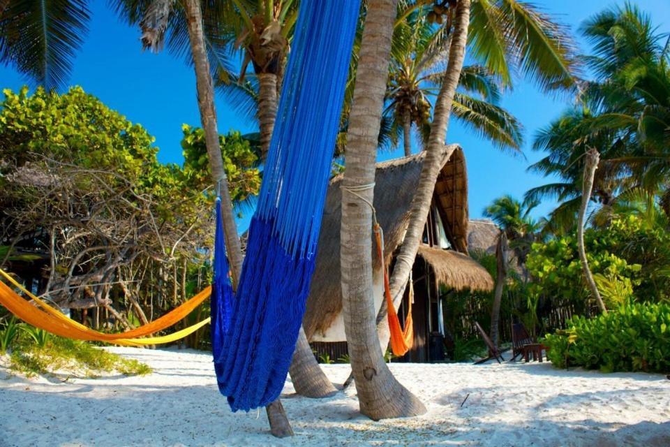 Lodge Playa Selva